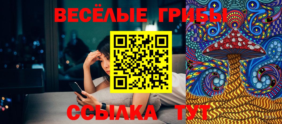 Псилоцибиновые грибы мицелий  Вход с VPN  Кувандык 